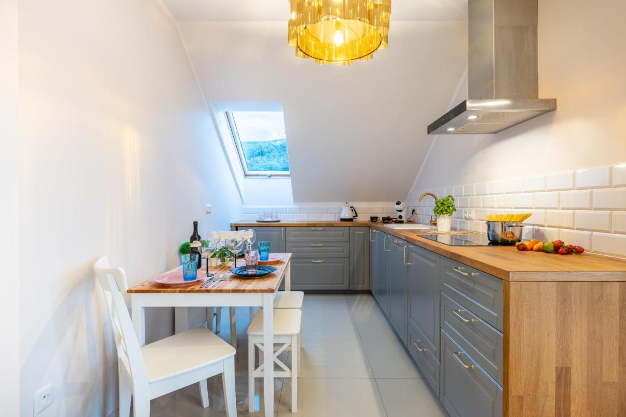 Apartament Kasztelan II Ustrzyki Dolne Extérieur photo